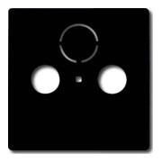 Busch-Jaeger Zentralscheibe anth f.Antennendose 2Loch 1743-81-3