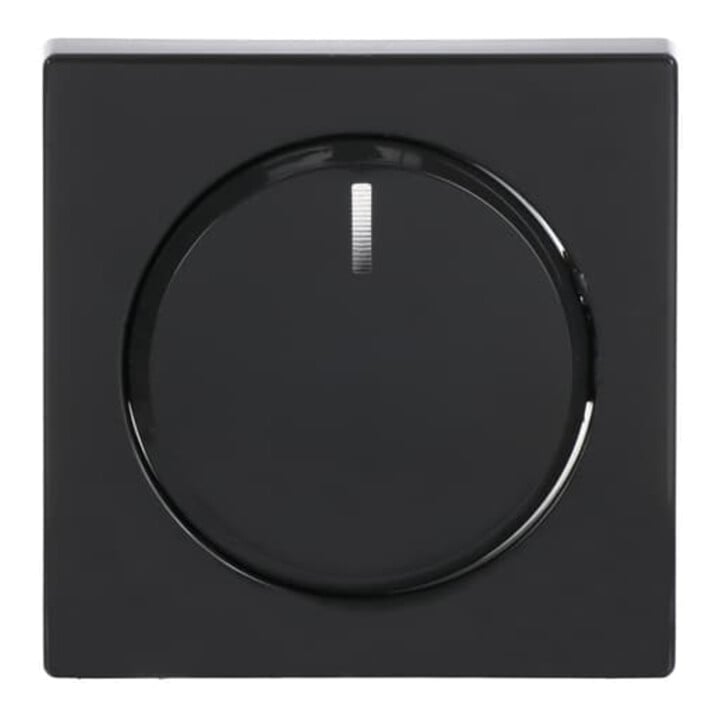 Busch-Jaeger Zentralscheibe anth für Drehdimmer 6540-81-102