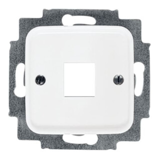 Busch-Jaeger Zentralscheibe aws für 1 Modular Jack 2561-214