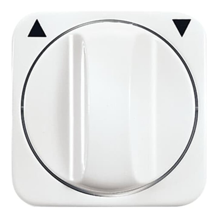 Busch-Jaeger Zentralscheibe aws Jalousie,m.Drehgriff 2542 DR-214