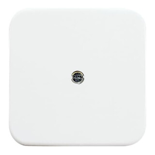 Busch-Jaeger Zentralscheibe aws VDo Telefonverbinderdose 2536-214