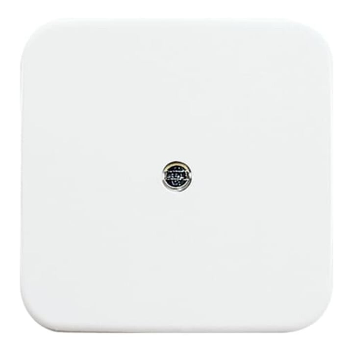 Busch-Jaeger Zentralscheibe aws VDo Telefonverbinderdose 2536-214