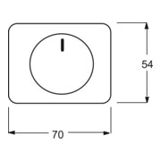 Busch-Jaeger Zentralscheibe brz für Drehdimmer 6540-21-3