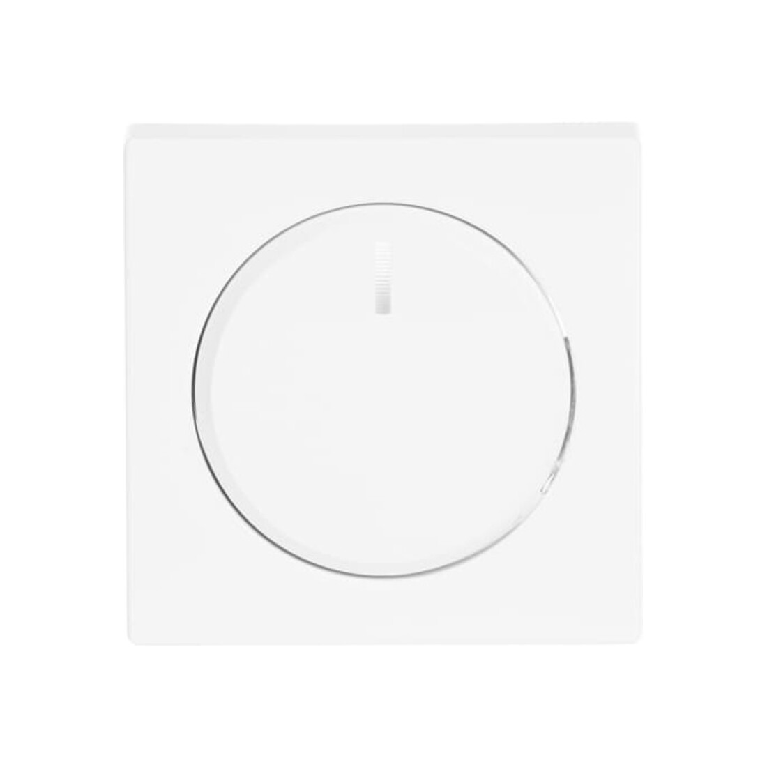 Busch-Jaeger Zentralscheibe dav/stws für Drehdimmer 6540-84-102
