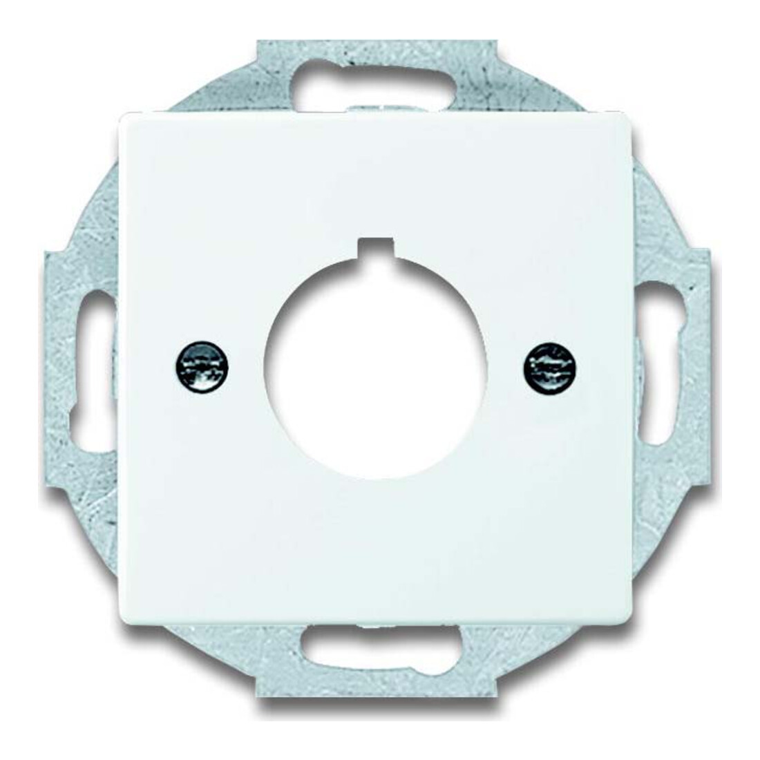 Busch-Jaeger Zentralscheibe dav/sws 22,5mm Befehlsgeräte 2533-84