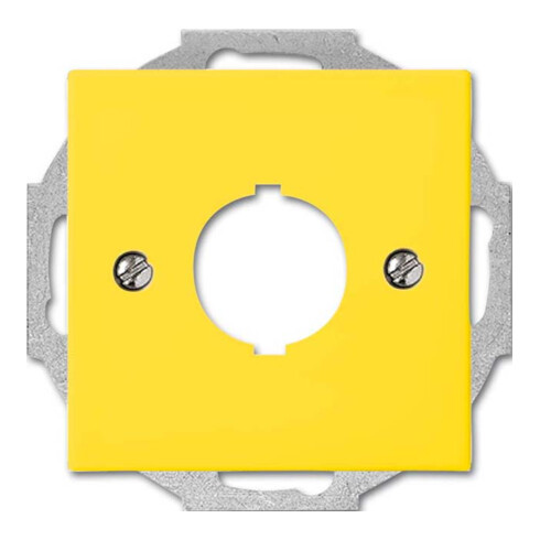 Busch-Jaeger Zentralscheibe gelb f.Datenkommunikation 2533-914-15