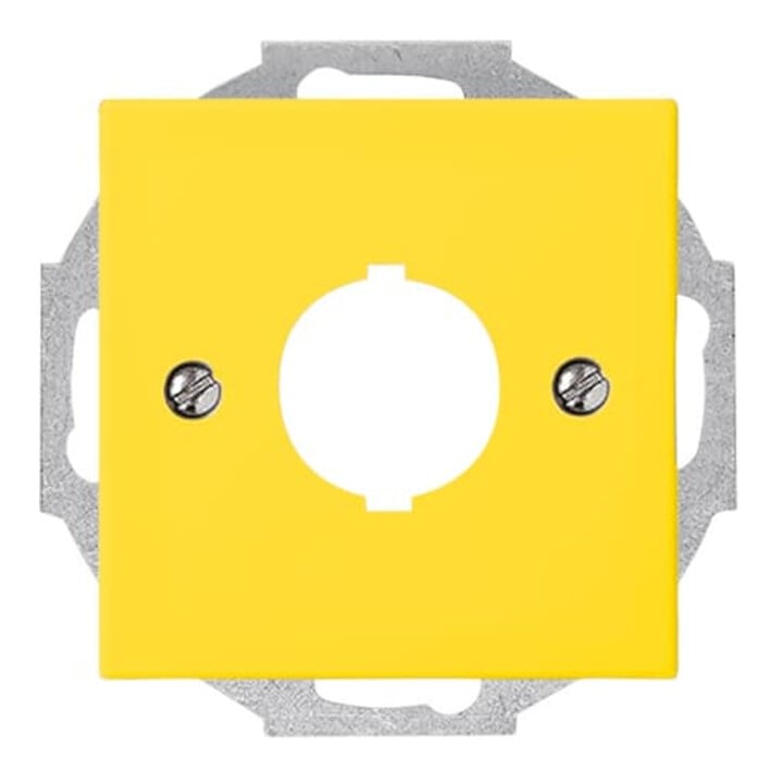 Busch-Jaeger Zentralscheibe gelb f.Datenkommunikation 2533-914-15