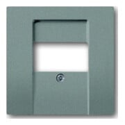 Busch-Jaeger Zentralscheibe meteor/gr f.UAE/TAE/LS 1766-803-2