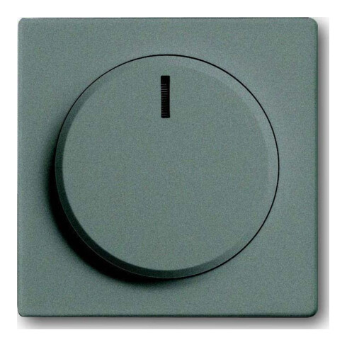 Busch-Jaeger Zentralscheibe meteor/gr für Drehdimmer 6540-803-102