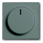 Busch-Jaeger Zentralscheibe meteor/gr für Drehdimmer 6540-803-102