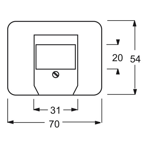 Busch-Jaeger Zentralscheibe pla f.UAE/TAE/LS 1766-20