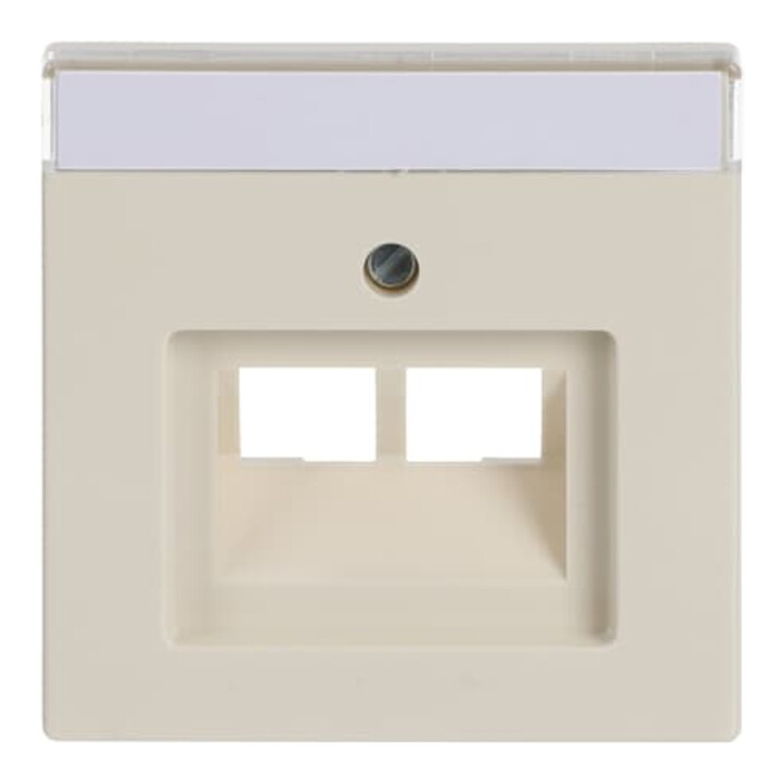 Busch-Jaeger Zentralscheibe sav/ews f.UAE-Anschlussdo.2f 1803-02-82