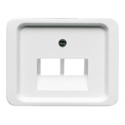 Busch-Jaeger Zentralscheibe stws gl f.UAE-Anschlussdo.2f 1803-02-24G-3