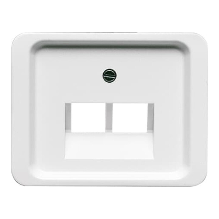 Busch-Jaeger Zentralscheibe stws gl f.UAE-Anschlussdo.2f 1803-02-24G