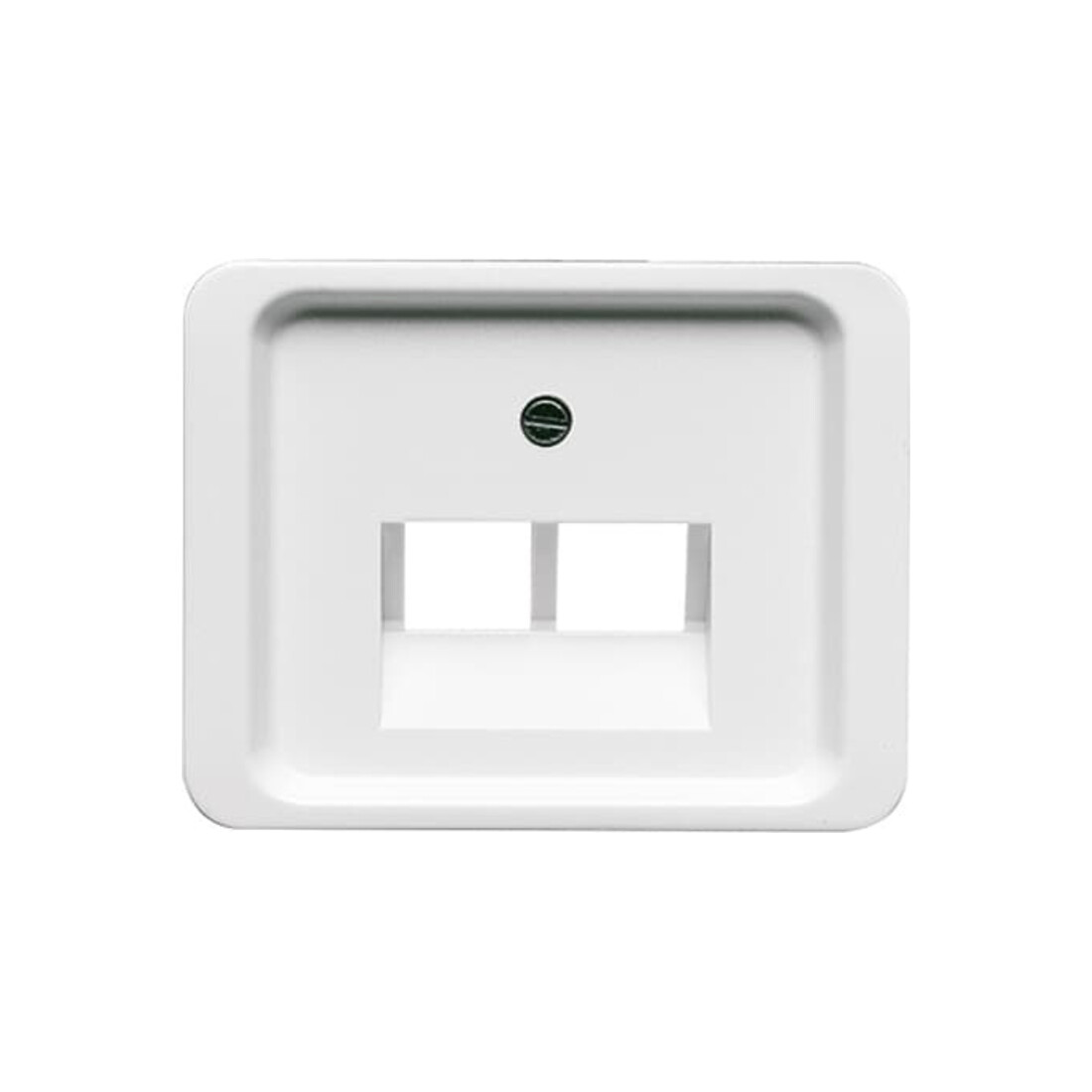 Busch-Jaeger Zentralscheibe stws gl f.UAE-Anschlussdo.2f 1803-02-24G