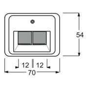 Busch-Jaeger Zentralscheibe stws gl f.UAE-Anschlussdo.2f 1803-02-24G-3