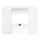 Busch-Jaeger Zentralscheibe stws gl f.UAE/TAE/LS 1766-24G