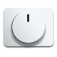Busch-Jaeger Zentralscheibe stws gl für Drehdimmer 6540-24G-1