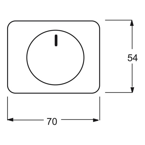 Busch-Jaeger Zentralscheibe stws gl für Drehdimmer 6540-24G
