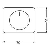Busch-Jaeger Zentralscheibe stws gl für Drehdimmer 6540-24G-3