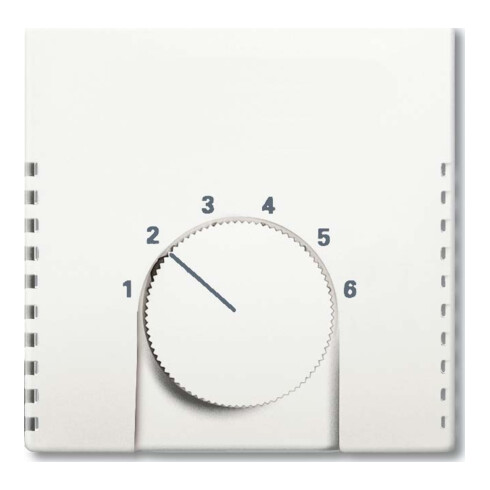 Busch-Jaeger Zentralscheibe stws mt f. Temp.-Regler 1794-884