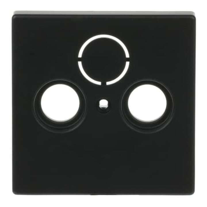 Busch-Jaeger Zentralscheibe sw mt f.Antennendose 2Loch 1743-885