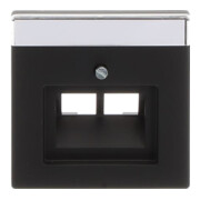 Busch-Jaeger Zentralscheibe sw mt f.UAE-Anschlussdo.2f 1803-02-885-3