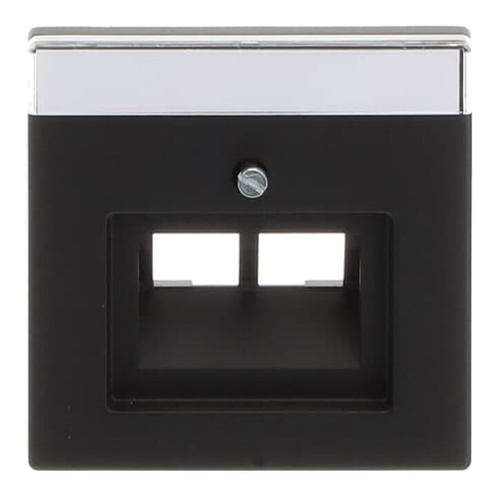 Busch-Jaeger Zentralscheibe sw mt f.UAE-Anschlussdo.2f 1803-02-885