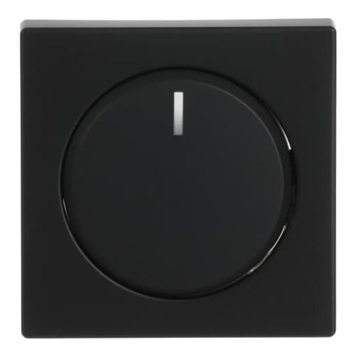 Busch-Jaeger Zentralscheibe sw mt für Drehdimmer 6540-885-102