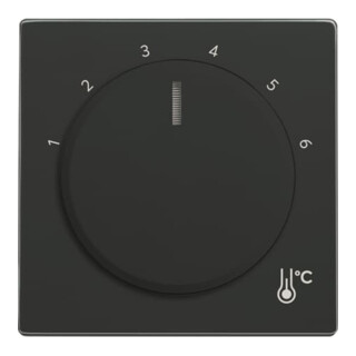 Busch-Jaeger Zentralscheibe Temperatur rund 1794 R-81
