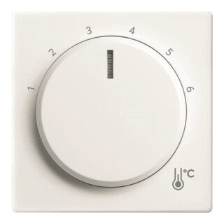 Busch-Jaeger Zentralscheibe Temperatur rund 1794 R-84