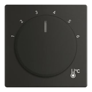 Busch-Jaeger Zentralscheibe Temperatur rund 1794 R-885