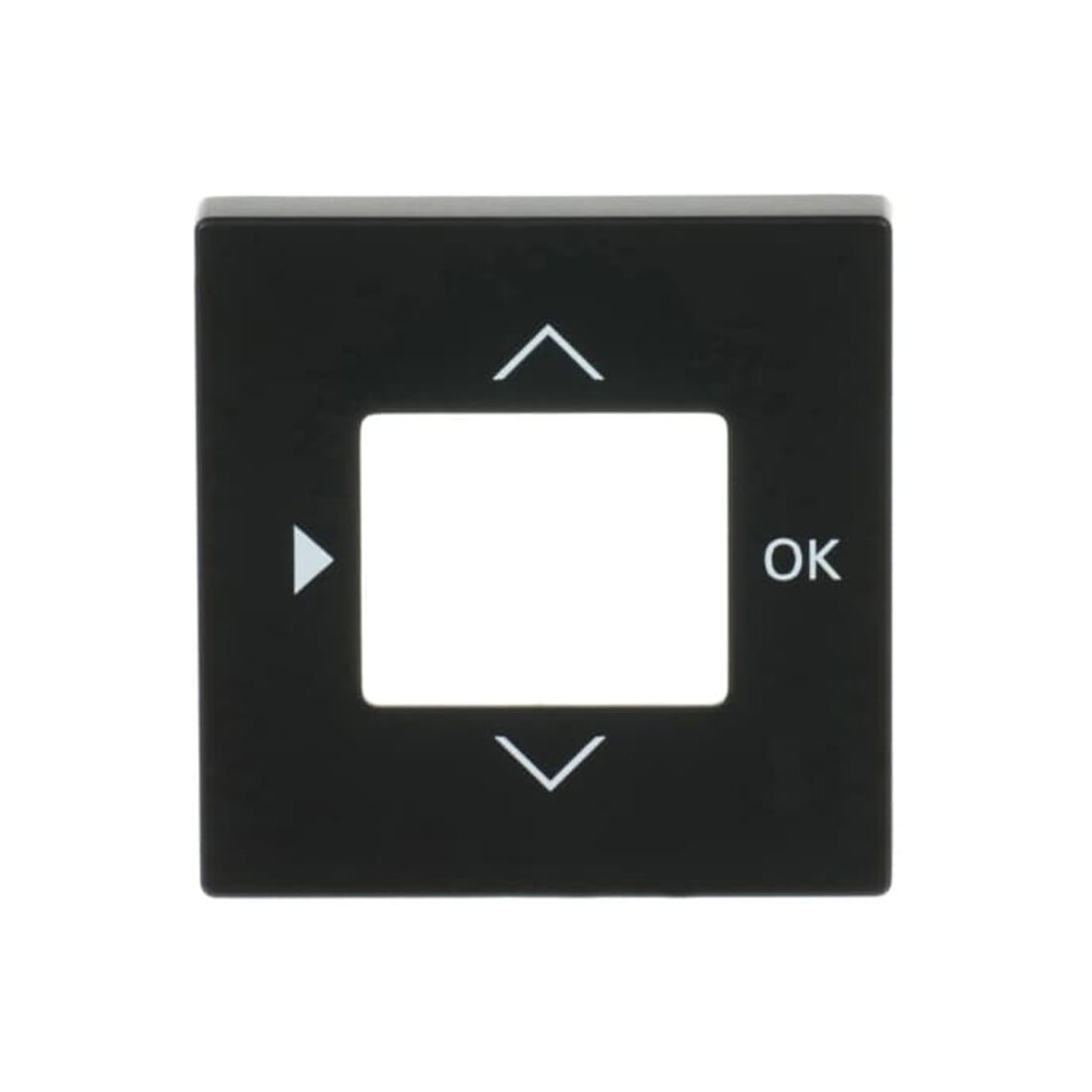 Busch-Jaeger Zentralscheibe Timer Bedienelement 6435-885