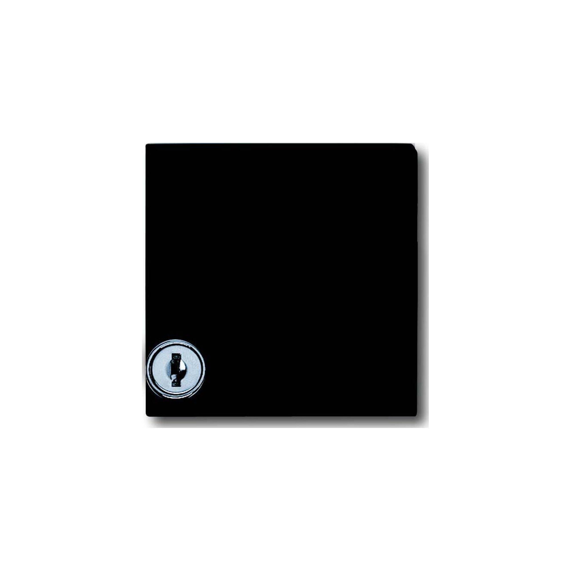 Busch-Jaeger Zwischenring anth mit Klappdeckel 2118 GKSL-35
