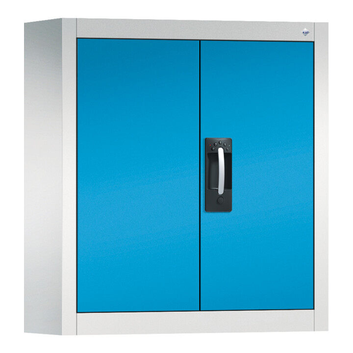 C+P Armoire à outils murale Acurado, 830x700x300mm, 7035/5012