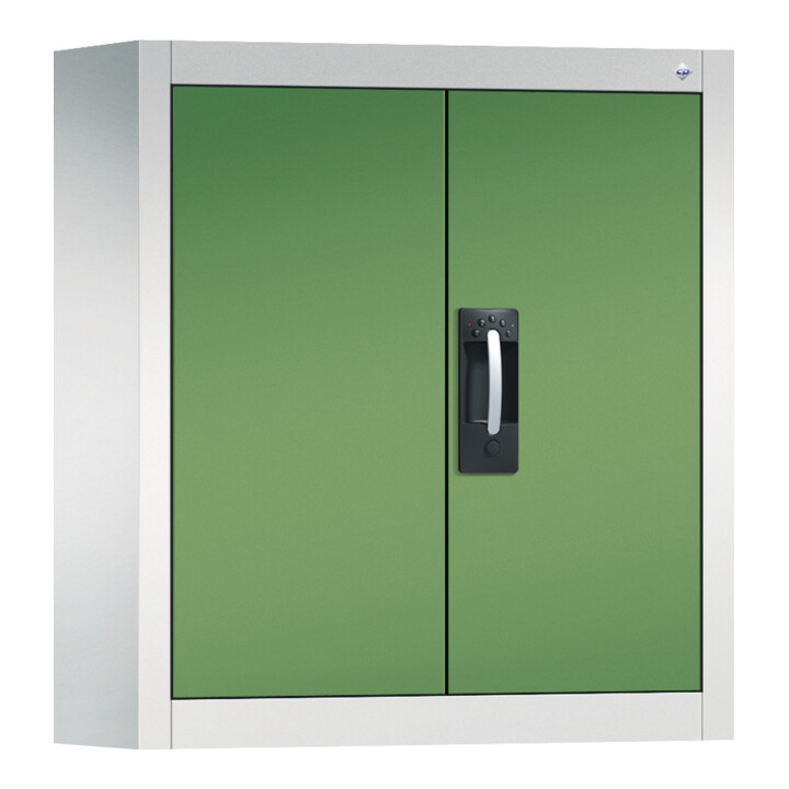 C+P Armoire à outils murale Acurado, 830x700x300mm, 7035/6011