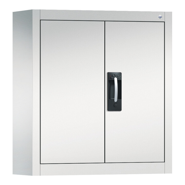 C+P Armoire à outils murale Acurado, 830x700x300mm, 7035/7035