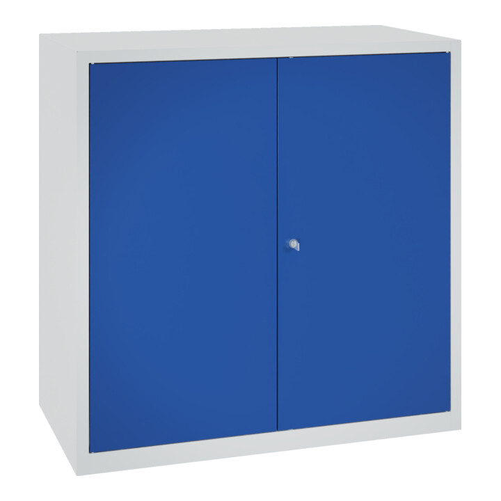 C+P Armoire à portes battantes en acier Série 89, H1000xL100xP500mm, 7035/5010