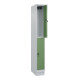 C+P Doppelstock-Spind Classic PLUS, Sockel, 1 Abteil, 1950x250x500mm, 7035/6011 Front RAL 6011 Resedagrün-2