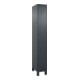 C+P Spind Classic PLUS 1 Abteil 1950 x 300 x 500 mm Anthrazitgrau