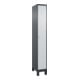 C+P Spind Classic PLUS 1 Abteil 1950 x 300 x 500 mm anthrazitgrau/lichtgrau