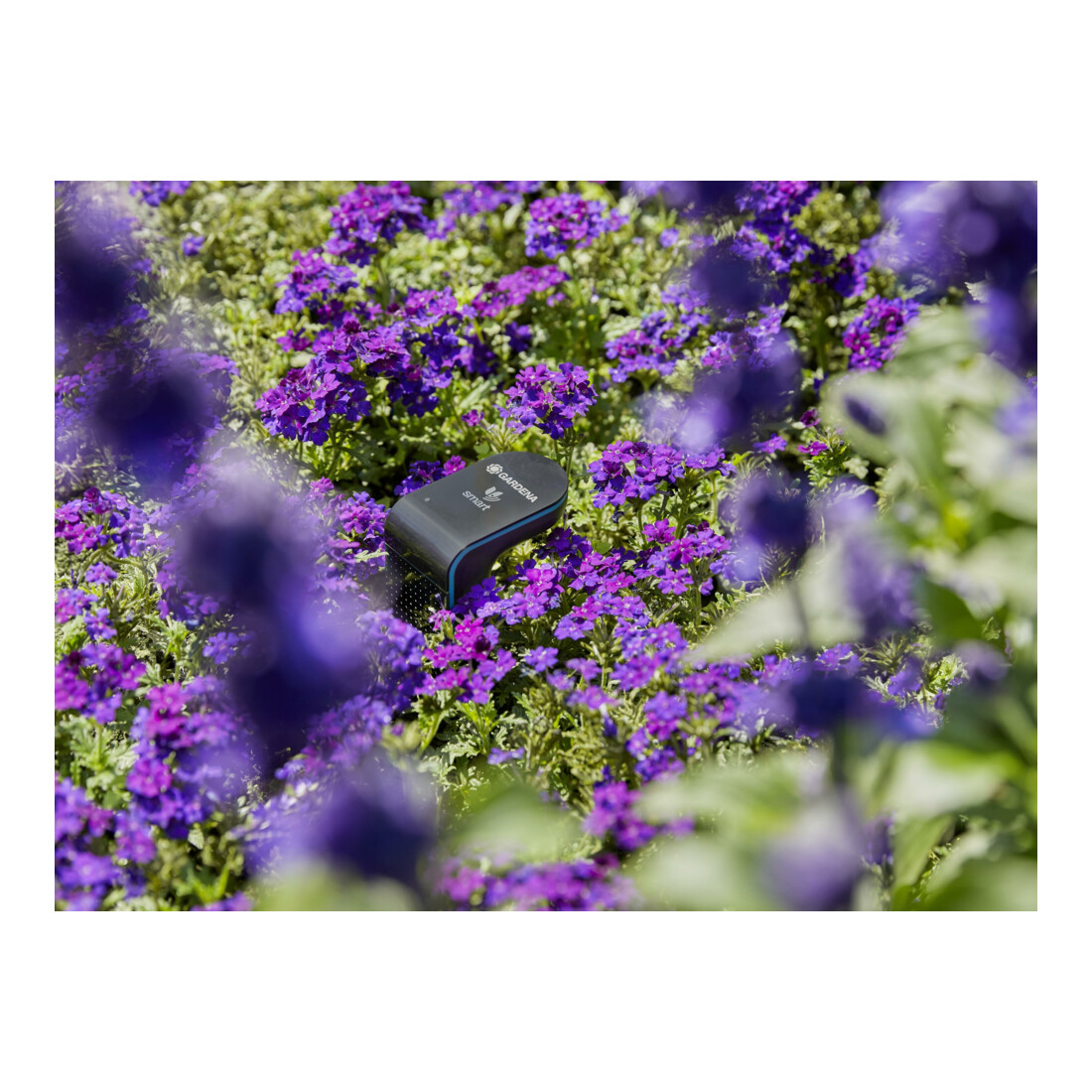 Capteur smart GARDENA