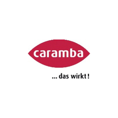 Caramba Kunststoff Tiefenpflege 250ml