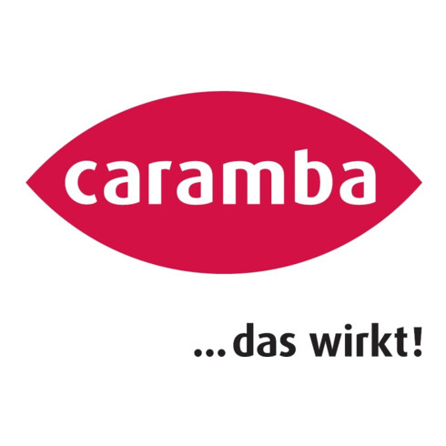 Caramba Schock-Rostlöser Rasant 100 ml
