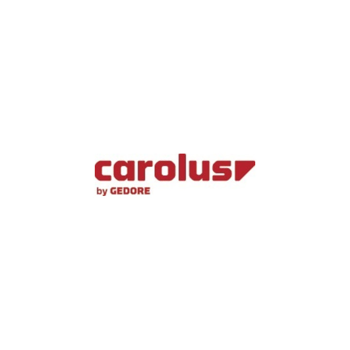 Carolus Maul-Ringratschenschlüssel 24 mm, gerade Form