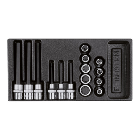 Carolus Schraubendrehereinsatz-Satz 1/2" in 1/3 Modul