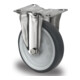CASCOO Bockrolle ø 80 mm Serie P2W2 Gleitlager Edelstahl
