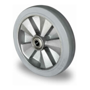 CASCOO Rad ø 250 mm Serie BAF2 Doppelkugellager-1