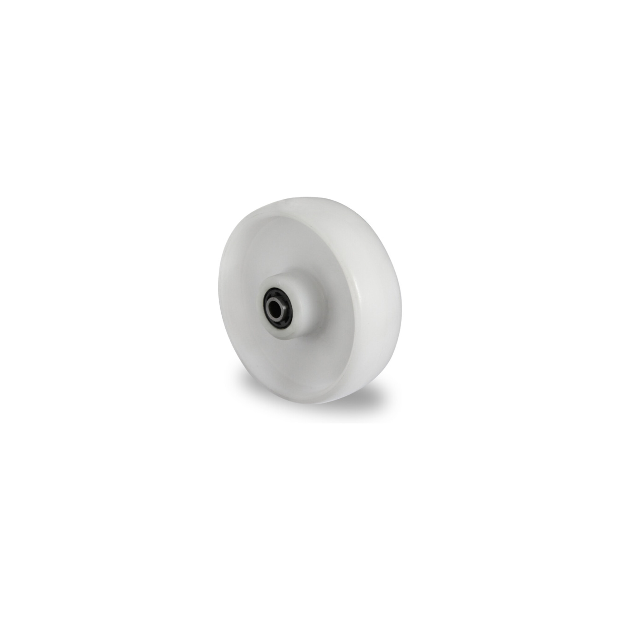 CASCOO Rad ø 80 mm Serie N0N0 Rollenlager