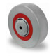 CASCOO Rad ø 100 mm Serie M6N2 Rollenlager